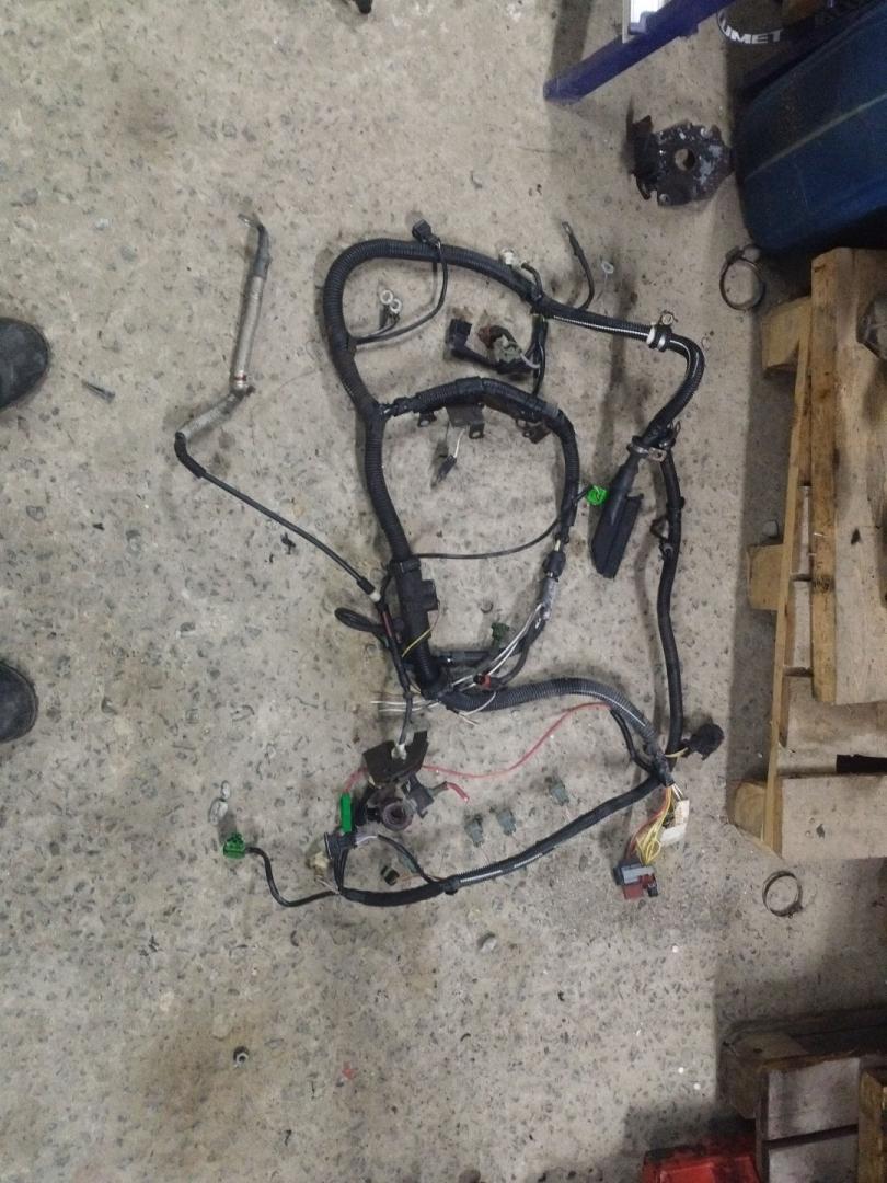 проводка двигателя Renault Megane 1 поколение 1997, 2.0 л., F3R 796, бензин, МКПП, синий, купе, передний привод - фото №1