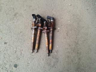 форсунка Peugeot 407 1 поколение 2004, 2.0 л., RHR 10DYVD, дизель, МКПП, 9647247280