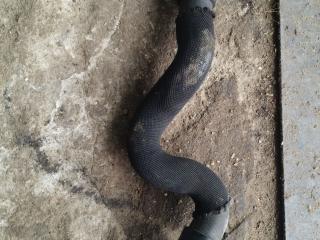 патрубок отопителя (печки) Peugeot 807 1 поколение 2004, 2.0 л., RHM (DW10ATED4), дизель, АКПП, черный, передний привод