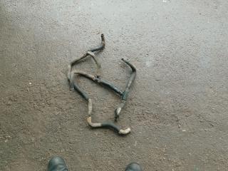 патрубок радиатора Peugeot 807 1 поколение 2004, 2.0 л., RHM (DW10ATED4), дизель, АКПП, черный, передний привод