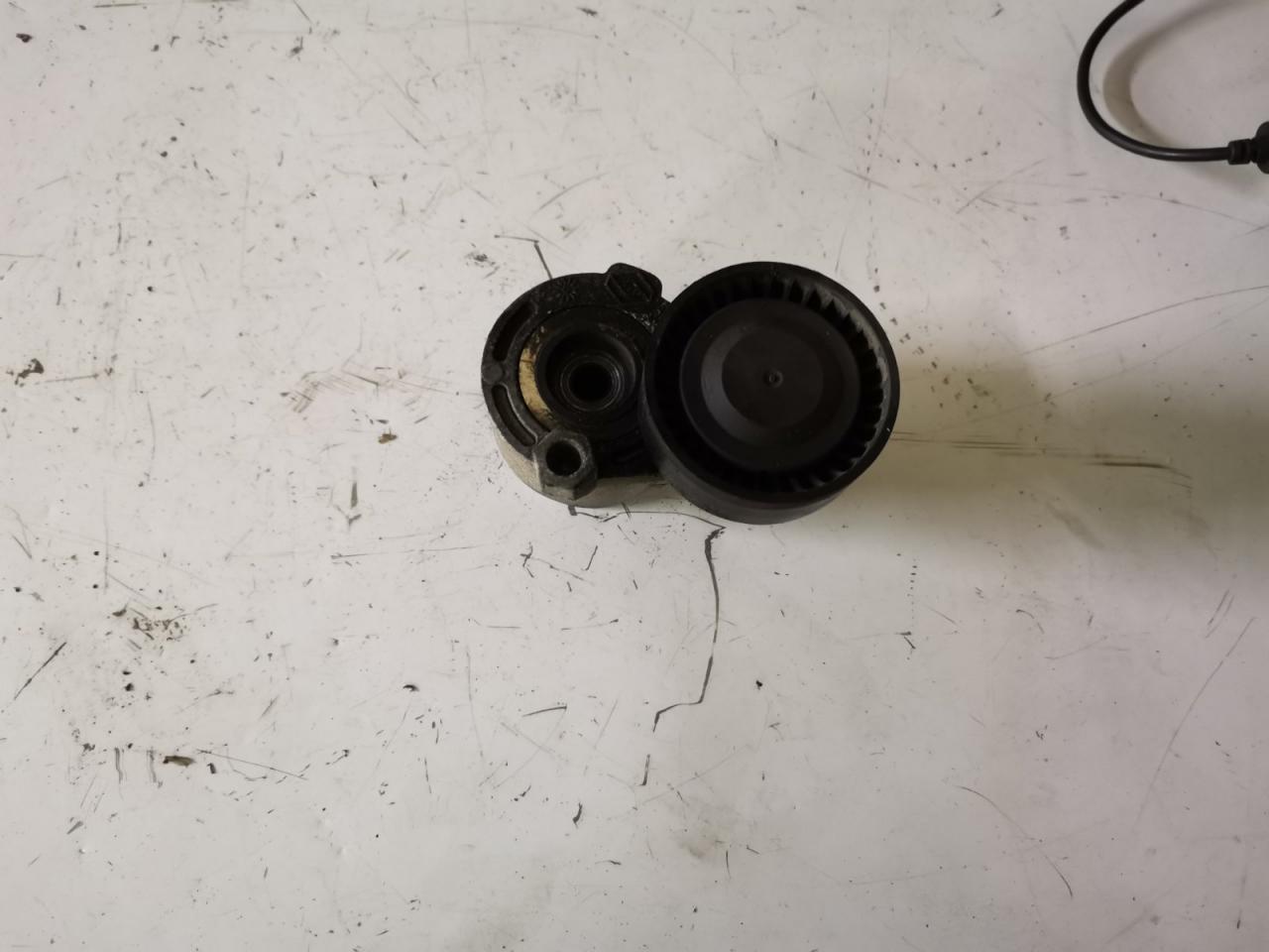 ролик натяжителя Renault Scenic 2 поколение 2004, 1.5 л., DCi, K9K 728, дизель, 5МКПП, минивэн, передний привод - фото №1