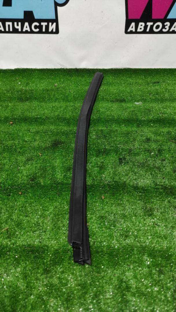 молдинг двери задней правой Tesla Model X 1 поколение 2018, электро, хетчбэк 5 дв. - фото №1