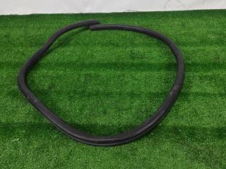 уплотнитель двери Ford Mustang 6 поколение S550 [рестайлинг] 2019, 2.3 л., АКПП, black, купе, задний привод, FR3B-6320708