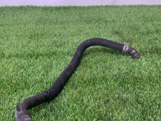 патрубок радиатора Ford Mustang 6 поколение S550 [рестайлинг] 2019, 2.3 л., бензин, АКПП, черный, кабриолет, задний привод, A69E8A582AC