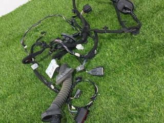 дверная проводка Ford Mustang 6 поколение S550 [рестайлинг] 2019, 2.3 л., бензин, АКПП, купе, ES73-F22464-BE