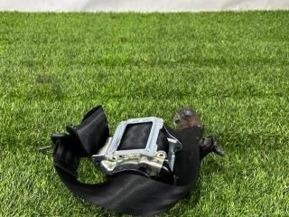 ремень безопасности Ford Escape 4 поколение CX482 2021, 1.5 л., бензин, АКПП, внедорожник 5 дв., полный привод