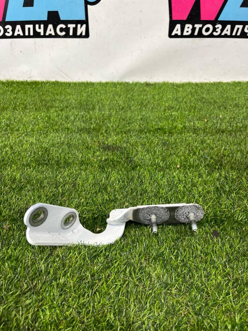 петля крышки багажника Ford Escape 4 поколение CX482 2021, 1.5 л., бензин, АКПП, внедорожник 5 дв., полный привод, LJ6B-S42900-AB - фото №1