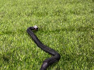 патрубок радиатора Chevrolet Equinox 3 поколение [рестайлинг] 2022, 1.5 л., бензин, внедорожник 5 дв., передний привод, 84818918