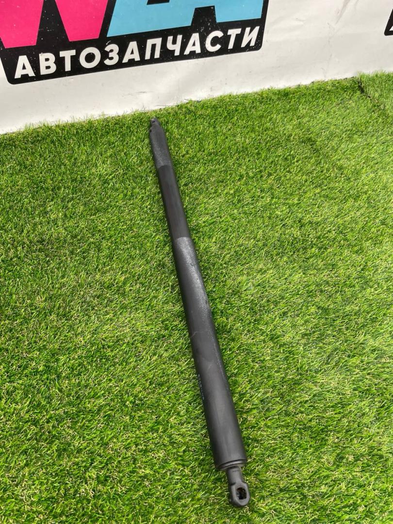 амортизатор крышки багажника (3-5 двери) Tesla Model Y 1 поколение 2022, электро, белый, 1500602-00-A - фото №1