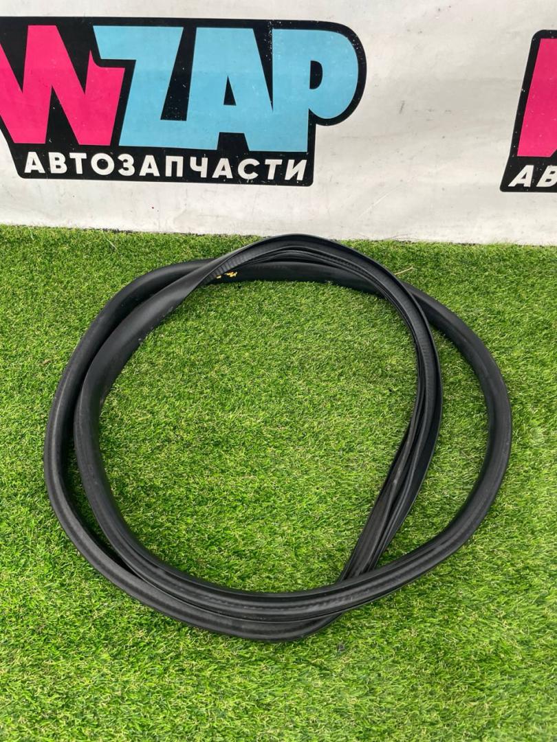 уплотнитель двери Tesla Model Y 1 поколение 2022, электро, белый, 1497675-89-A - фото №1