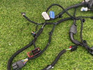 дверная проводка Tesla Model S 1 поколение [2-й рестайлинг] 2022, электро, лифтбэк, 248639700C