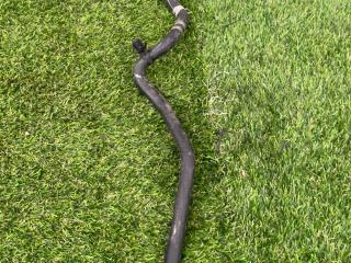 патрубок радиатора Ford Escape 4 поколение CX482 2020, 1.5 л., бензин, АКПП, синий, внедорожник 5 дв., полный привод, LX61-8W005-AAC