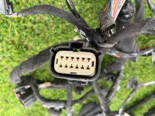 дверная проводка Ford Mustang 6 поколение S550 [рестайлинг] 2020, 2.3 л., бензин, АКПП, серый, купе, задний привод, FR3T-14630-BK