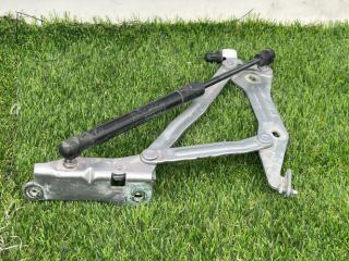 петля крышки багажника Ford Mustang 6 поколение S550 [рестайлинг] 2020, 2.3 л., бензин, АКПП, серый, купе, задний привод, FR3B6342701AD