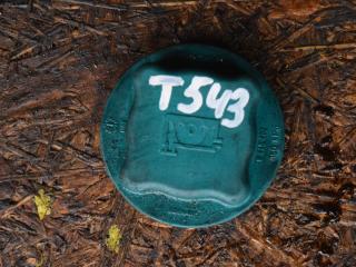 пробка расширительного бачка Volvo XC90 1 поколение 2004, 2.9 л., бензин, АКПП, внедорожник 5 дв., 9445462