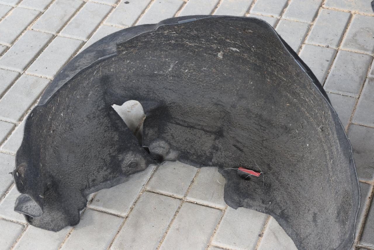 защита арок задняя правая (подкрылок) Mercedes-Benz CLC-Класс 1 поколение 2009, 2.1 л., дизель, АКПП, купе, правый руль - фото №1