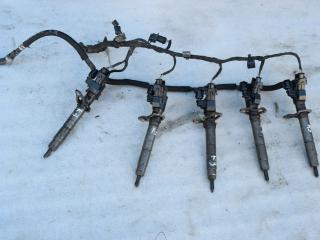 форсунка Volvo XC60 1 поколение 2012, 2.4 л., D5, D 5244 T10, дизель, АКПП, полный привод, 31272690, 0445116016