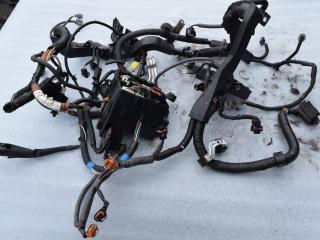 проводка двигателя Toyota Yaris XP9 DD1D 2007, 1.4 л., D-4D, 1ND-TV, дизель, МКПП, хетчбэк 5 дв., 8264147020, 821210D511