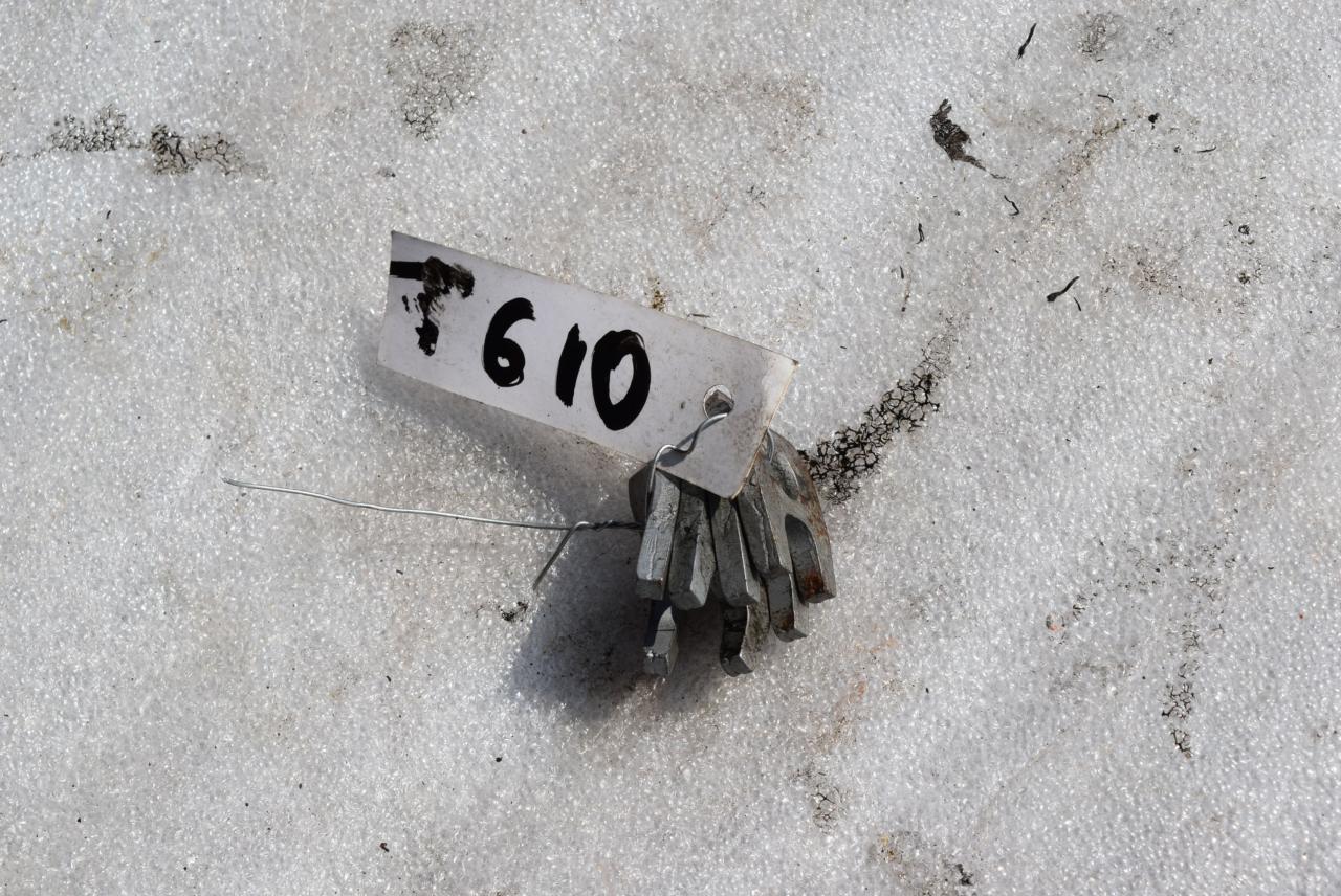 крепление форсунки Rover 45 1 поколение 2004, 2.0 л., дизель, МКПП - фото №1