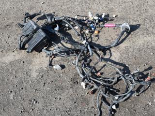 проводка двигателя Toyota Camry XV30 2003, 2.4 л., VVT-i, 2AZ-FE, бензин, АКПП, серый, седан