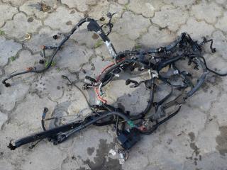 проводка двигателя Toyota Auris 1 поколение 2008, 1.4 л., 1ND-TV, дизель, МКПП, хетчбэк 5 дв., правый руль