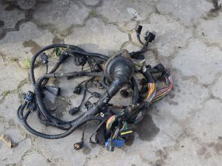 проводка двигателя Kia Sorento 1 поколение [рестайлинг] 2008, 2.5 л., D4CB, дизель, АКПП, внедорожник 5 дв.