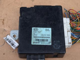 блок управления светом Kia Sorento 1 поколение 2005, 2.5 л., D4CB, дизель, АКПП, внедорожник 5 дв., правый руль, 954003E310