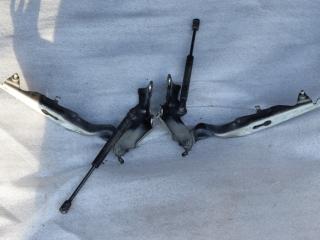 петля капота Volvo V70 3 поколение 2009, 2.5 л., B 5254 T6, бензин, АКПП, черный, универсал, передний привод, правый руль, 31250185, 31250186