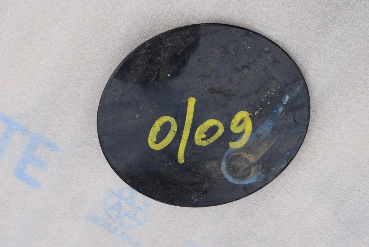 лючок топливного бака Ford Galaxy 1 поколение 1996, 1.9 л., дизель, 7M0010099M - фото №1