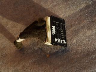 блок управления (другие) Volvo XC90 1 поколение [рестайлинг] 2008, 4.4 л., B 8444 S, бензин, АКПП, внедорожник 5 дв., полный привод, 017196274