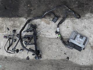 проводка двигателя Volkswagen Tiguan 1 поколение [рестайлинг] 2013, 2.0 л., TDi, CFGB, дизель, МКПП, внедорожник 5 дв., полный привод, 03L971595AG