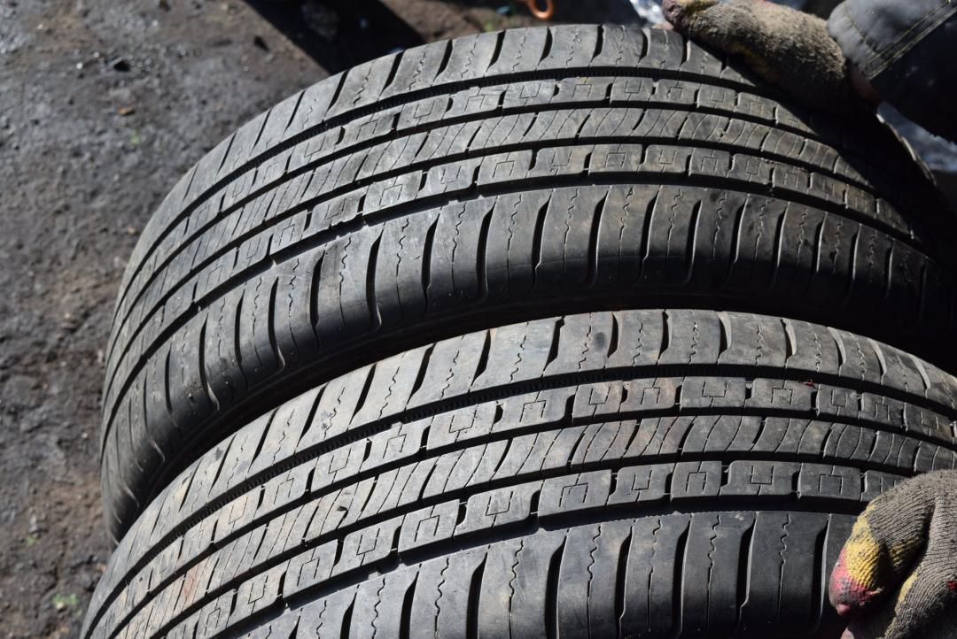 шина - фото №1