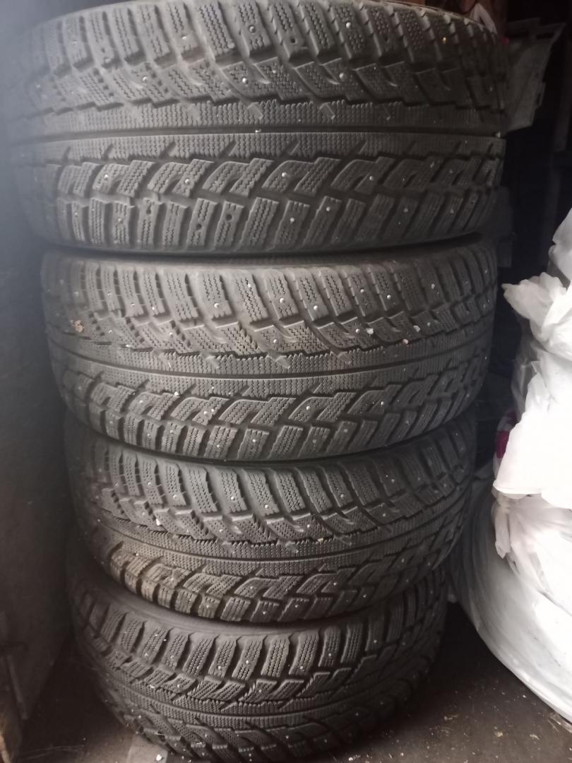 шина - фото №1