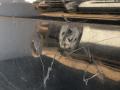 дверь задняя левая Opel Signum C 2003, 2.2 л., Y 22 DTR, дизель, 5МКПП, хетчбэк 5 дв. - фото №3