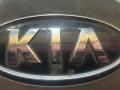 подсветка номера Kia Sportage 2 поколение 2007, 2.0 л. - фото №5