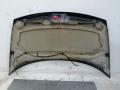 капот Citroen C3 1 поколение 2004, 1.4 л., KFV (TU3JP), бензин, 5МКПП, бордо, хетчбэк 5 дв. - фото №4
