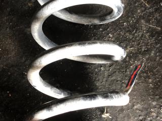 пружина задняя Ford Fusion (USA) 2 поколение [рестайлинг] 2019, 1.5 л., бензин, АКПП, седан