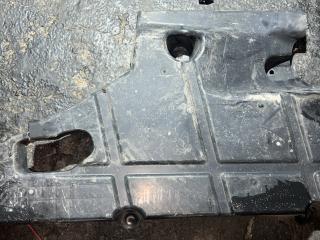 защита бампера заднего Ford Fusion (USA) 2 поколение [рестайлинг] 2020, 1.5 л., бензин, АКПП, седан