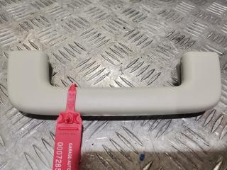 ручка внутренняя потолочная Ford Fusion (USA) 2 поколение [рестайлинг] 2020, 1.5 л., бензин, АКПП, седан