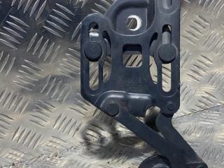 петля капота левая BMW X5 E70 2008, 3.0 л., M57 D30 (306D3), дизель, АКПП, черный, внедорожник 5 дв.