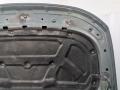 капот Land Rover Discovery 3 поколение 2004, 2.7 л., 276DT, дизель, АКПП, внедорожник 5 дв. - фото №9