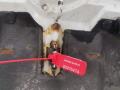 капот Citroen Berlingo 1 поколение (M49) 2001, 1.9 л., дизель, 5МКПП, фургон - фото №10