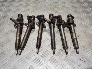 форсунка Peugeot 407 1 поколение 2005, 2.7 л., UHZ (DT17), дизель, АКПП, универсал, 5U3Q9K548AA