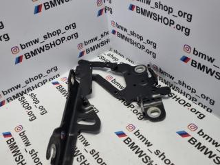 петля капота правая BMW 7 серия G11/G12 G12 2018, 6.6 л., N74 B66 B, бензин, АКПП, carbon-schwarz 416, седан, полный привод, правый руль, 41007427052