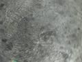 дверь задняя правая BMW 5 серия F07/F10/F11 F10 2011, 2.0 л., N47 D20 C, дизель, АКПП, седан, задний привод, правый руль, 41007206114 - фото №3