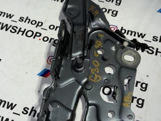 петля капота правая BMW 5 серия G30/G31 G30 2019, 2.0 л., B48 B20 A, гибрид, АКПП, blue-stone metallic, седан, задний привод, правый руль, 7347408