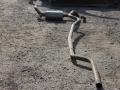 глушитель BMW 3 серия F30/F31/F34 2013, 2.0 л., дизель, МКПП, белый альпин вайс 300, седан, правый руль, 18308514426 - фото №2