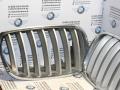 заглушка (решетка) в бампер BMW X5 E70 [рестайлинг] 2012, 3.0 л., дизель, АКПП, черный, внедорожник 5 дв., правый руль, 51317157688 - фото №2