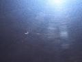 дверь задняя правая BMW 5 серия F07/F10/F11 2012, 2.0 л., дизель, АКПП, imperial-blau brillant metallic, хетчбэк 5 дв., правый руль, 41527228150 - фото №2