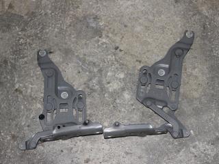 петля капота левая BMW X5 E70 2008, 3.0 л., дизель, АКПП, бронзовый, внедорожник 5 дв., правый руль, 7148347